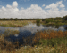 Best National Parks in Andalusia