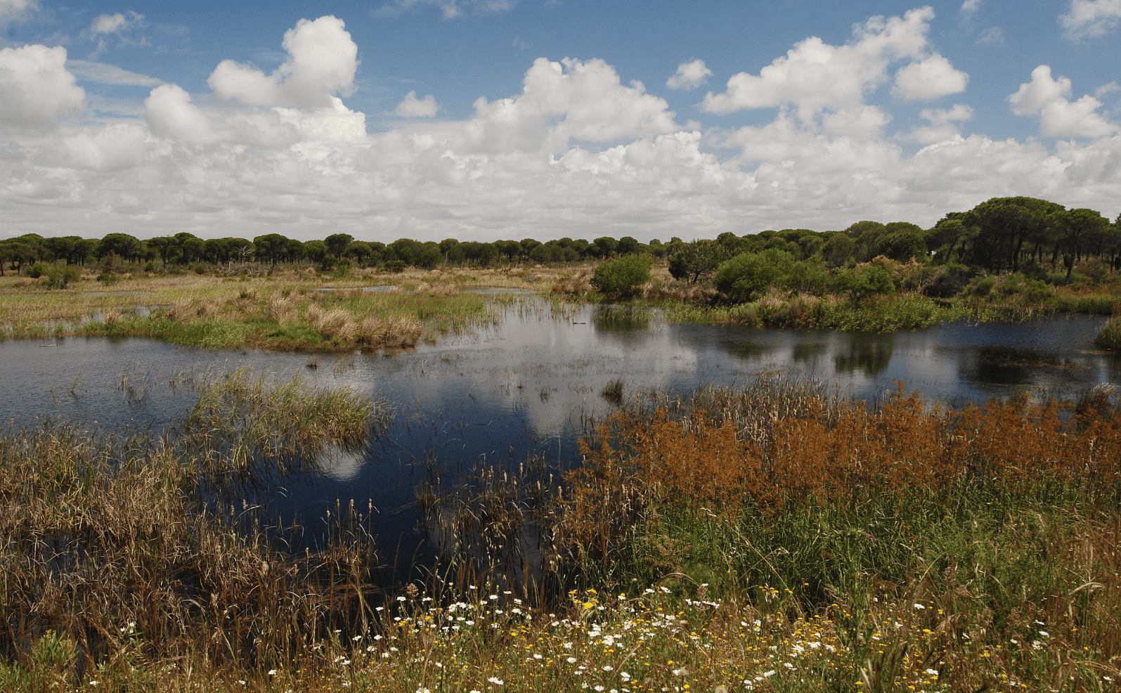 Best National Parks in Andalusia