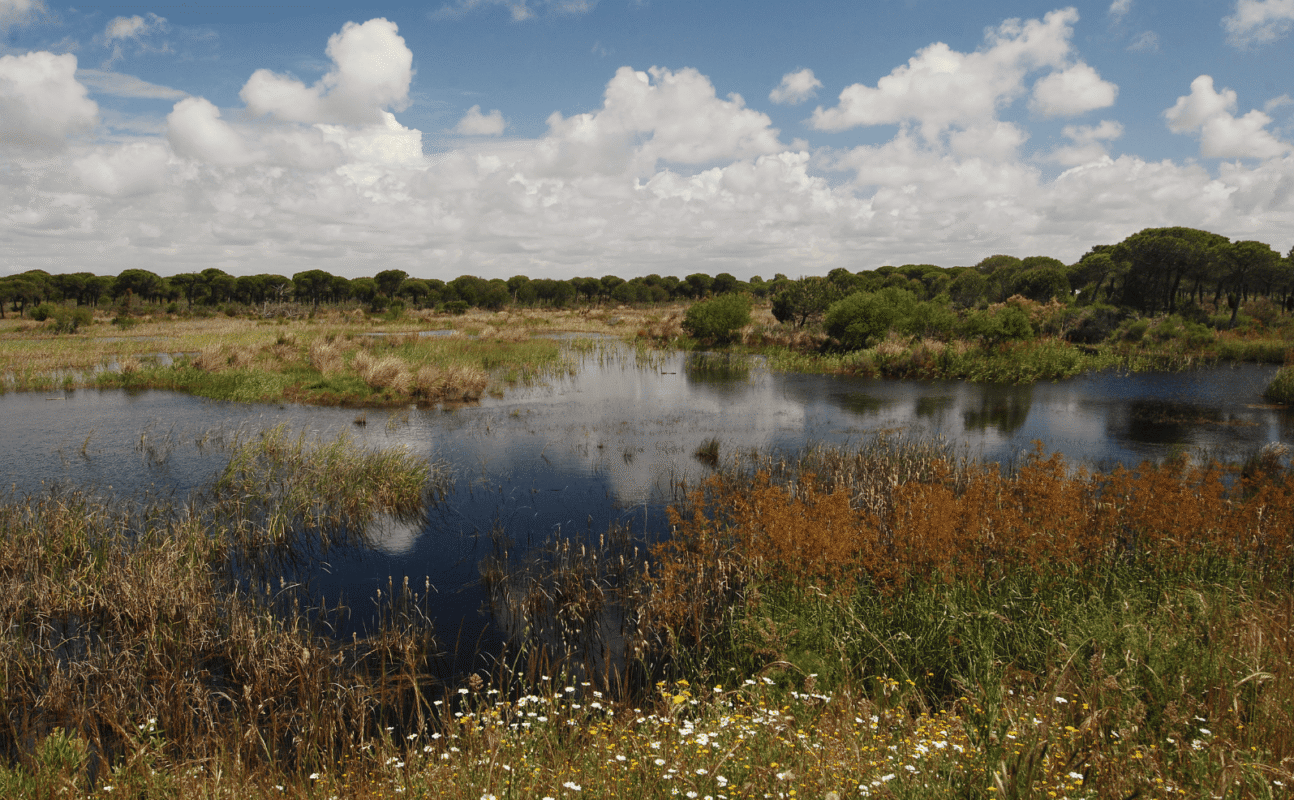 Best National Parks in Andalusia