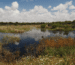Best National Parks in Andalusia