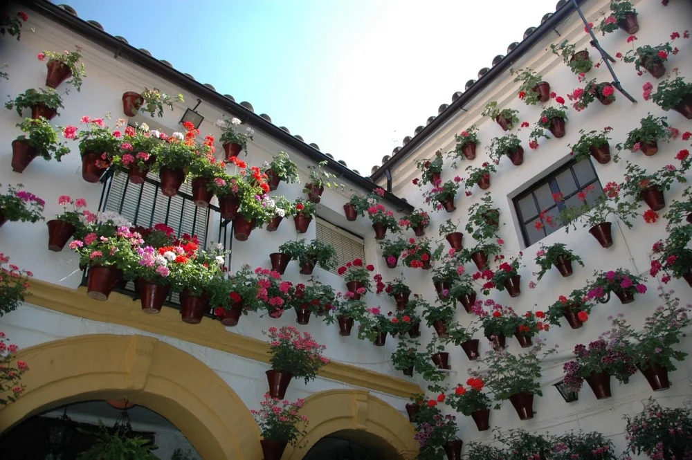 calleja de las flores cordoba Calleja de las Flores in Córdoba with flower-filled white walls and the Mosque-Cathedral tower in the background
