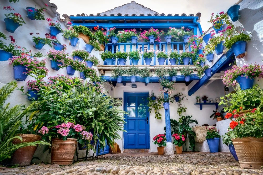 Traditional Patios of Córdoba, Spain Traditional Córdoba patio decorated with colorful flower pots, geraniums, and whitewashed walls in Andalusia, Spain